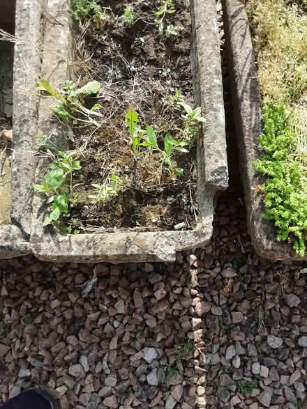 Photo of free Planters (B97 6PA) #1