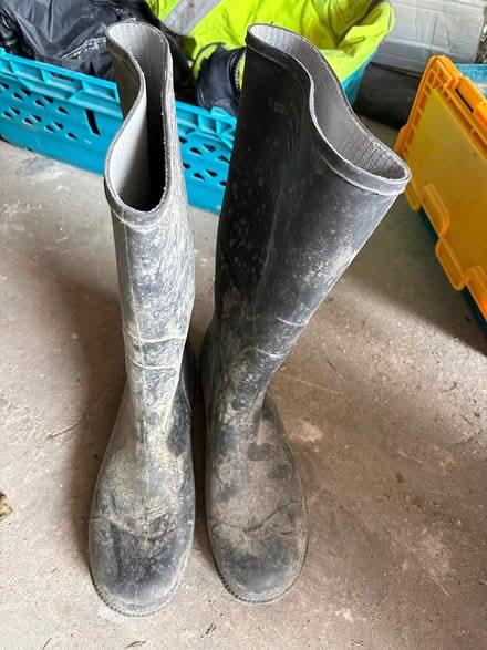 Photo of free Sturdy Wellingtons (Scarborough YO12) #1