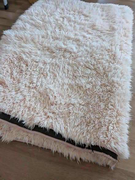 Photo of free Ruggable soft pink shag rug 6'x9' (High St and Santa Rita) #1