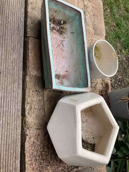 Photo of free 3 plant pots (Southfields SW18) #2