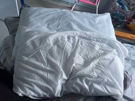 Photo of free 2 pillows (Goldington) #1