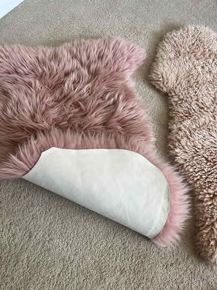 Photo of free Various rugs (Waterlooville) #2