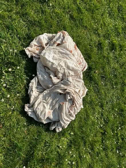 Photo of free Dust sheet (BS9) #1