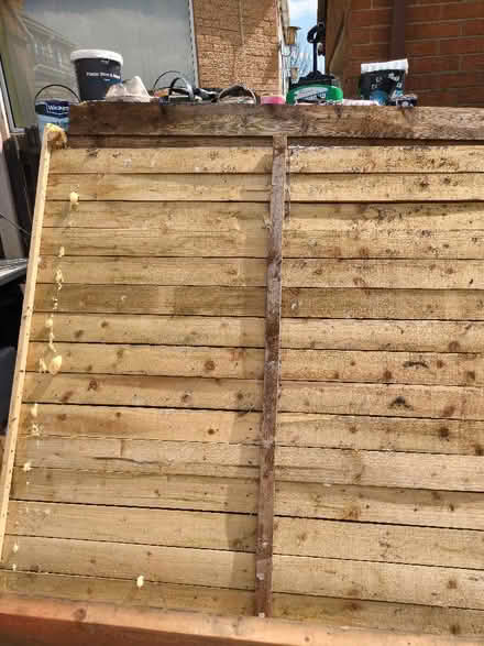 Photo of free 4x fence panels (Sothall S20) #1