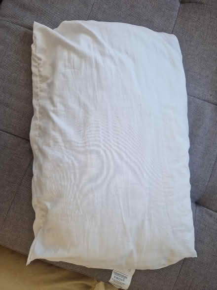 Photo of free Pillow (SE10) #1
