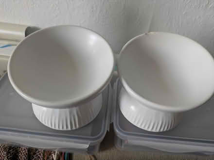 Photo of free Raised ceramic cat food bowls (Miles platting M40) #2