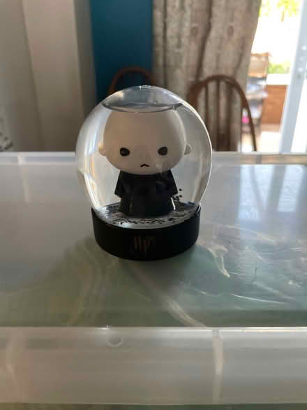 Photo of free Voldemort snow globe (Northlands Wood) #1