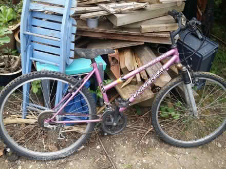 Photo of free Bicycle (Huntingdon PE29) #1