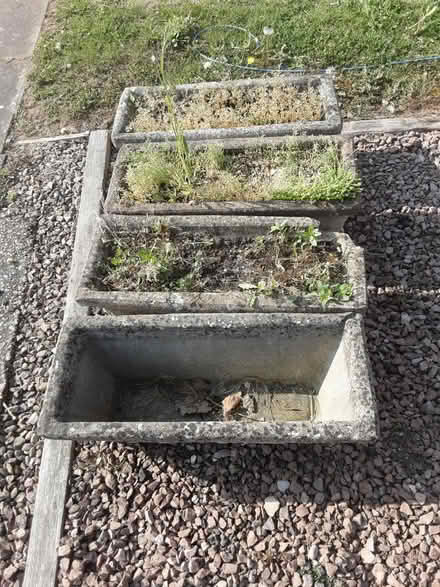 Photo of free Planters (B97 6PA) #2