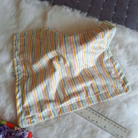 Photo of free Puppy comfort square (Charminster BH8) #2