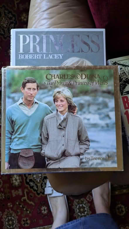 Photo of free Princess Diana books (CM15 Shenfield) #1