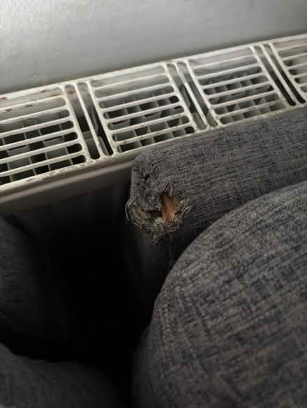 Photo of free Grey L-shaped sofa bed (SE13) #1