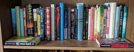 Photo of free Non-toxic novels (Ann Arbor Northwest Side) #2