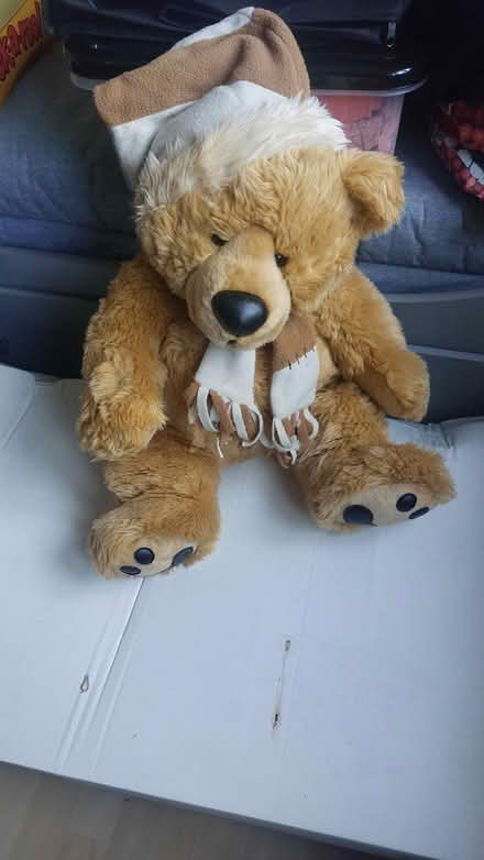 Photo of free Large soft toy (Ruscombe RG10) #2