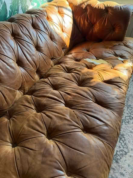 Photo of free A leather Chesterfield from John Lewis (Twickenham TW1) #2