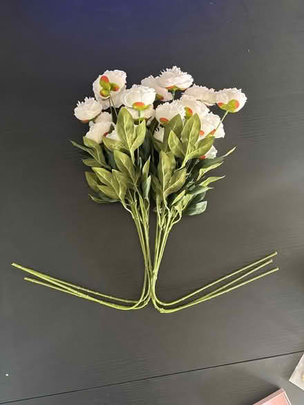 Photo of free Miscellaneous Things (Germantown) #2