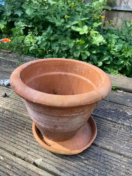 Photo of free Terracotta Pot and Plate (SE153BS) #1