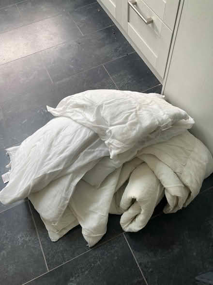 Photo of free Old pillows & duvet for pet bedding (HR6 Yarpole) #1