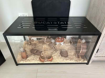 Photo of free Large hamster cage plus accessories (Seer Green HP9) #2