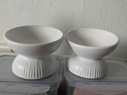 Photo of free Raised ceramic cat food bowls (Miles platting M40) #1