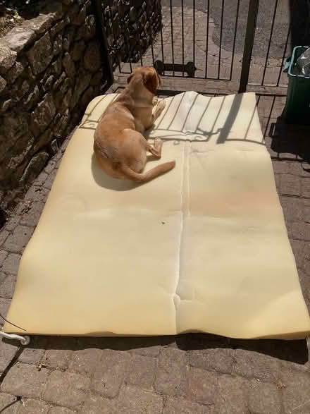 Photo of free memory foam (Marldon TQ3) #1