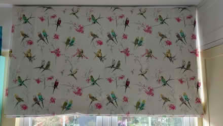 Photo of free Roman blind 188cm (Aldrington BN3) #2