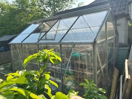 Photo of free Aluminium greenhouse (Staple Hill, Bristol) #2