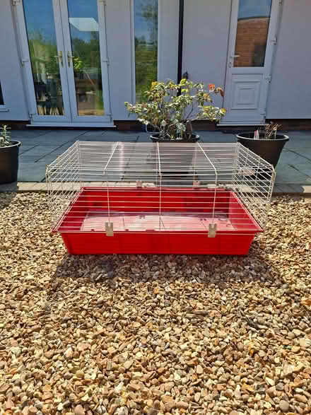 Photo of free Guinea Pig Cage (Clayhanger WS8) #1