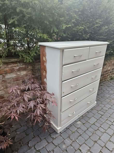 Photo of free Pine chest (Denny Bottom TN4) #1