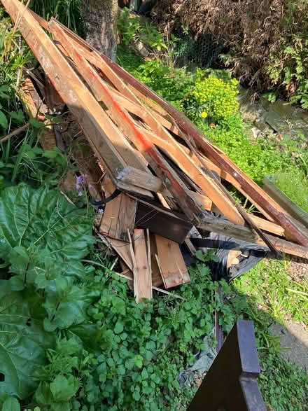 Photo of free Wood from shed (Oughtibridge S35) #1