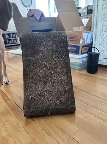Photo of free Cat scratcher (Arlington) #1