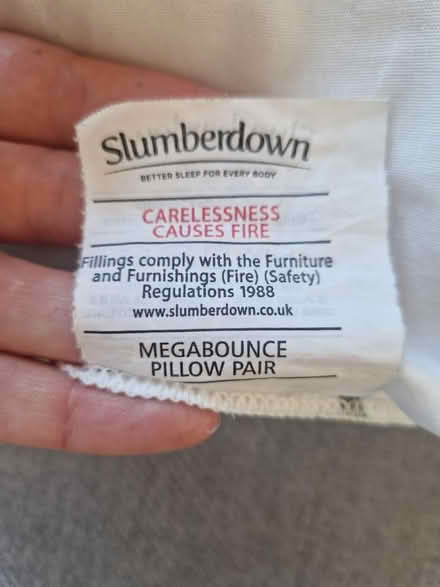 Photo of free Pillow (SE10) #4