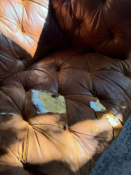 Photo of free A leather Chesterfield from John Lewis (Twickenham TW1) #3