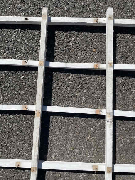 Photo of free White trellis (Bloomfield) #2