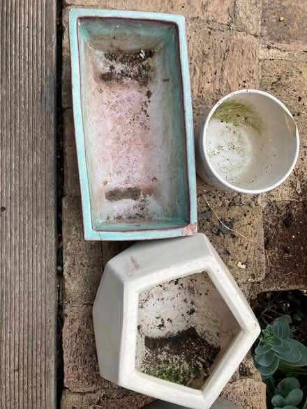 Photo of free 3 plant pots (Southfields SW18) #1