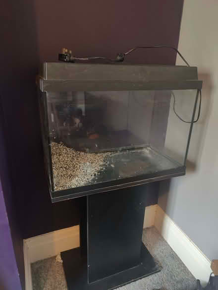 Photo of free 72 Litre Fish Tank With Stand & Kit (Riddlesden BD20) #3