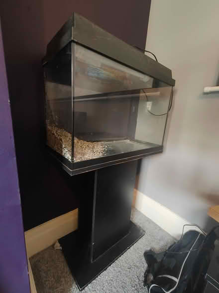 Photo of free 72 Litre Fish Tank With Stand & Kit (Riddlesden BD20) #4