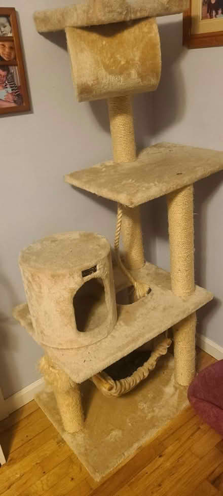 Photo of free Cat tree (South beacon hill) #1