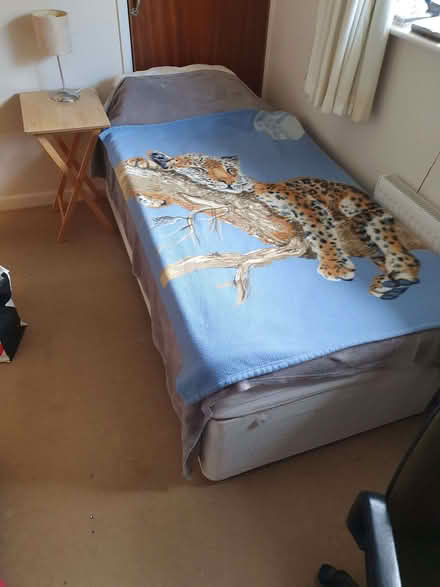 Photo of free single beds (Gosport PO13) #1