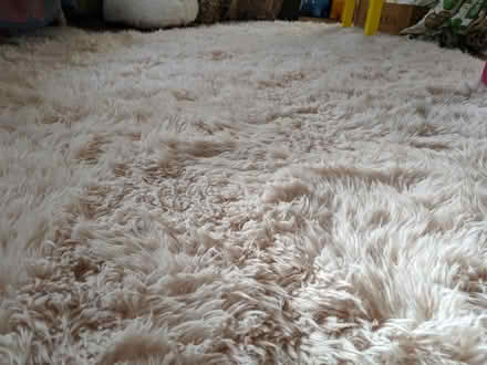 Photo of free Ruggable soft pink shag rug 6'x9' (High St and Santa Rita) #2