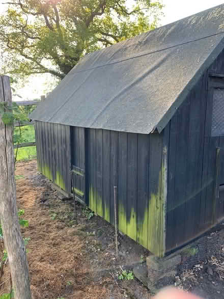 Photo of free Chicken Coop (IP9 Tattingstone IP9) #2