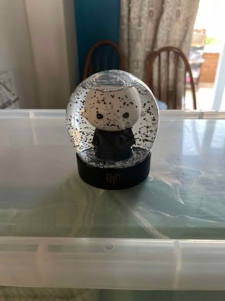 Photo of free Voldemort snow globe (Northlands Wood) #2