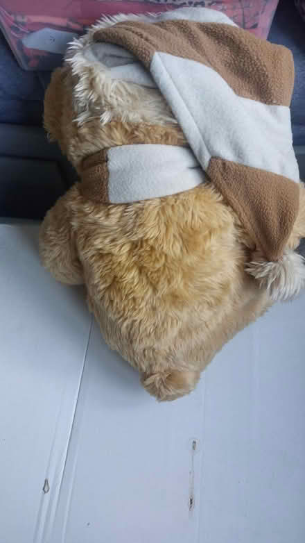 Photo of free Large soft toy (Ruscombe RG10) #3