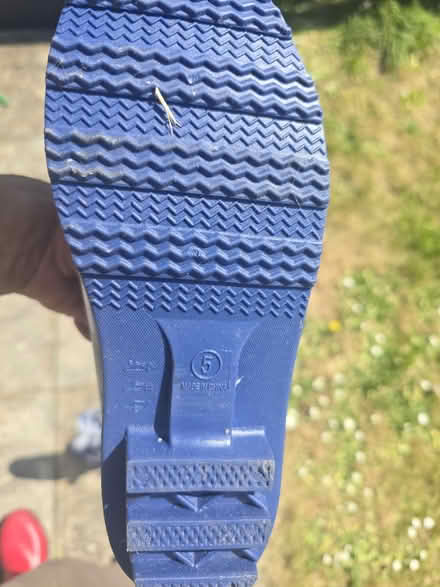 Photo of free Wellington boots size 5 (UB1 southall) #2