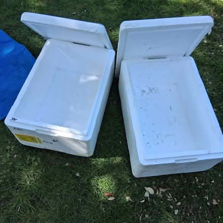 Photo of free Polystyrene boxes (Wickford SS12) #1