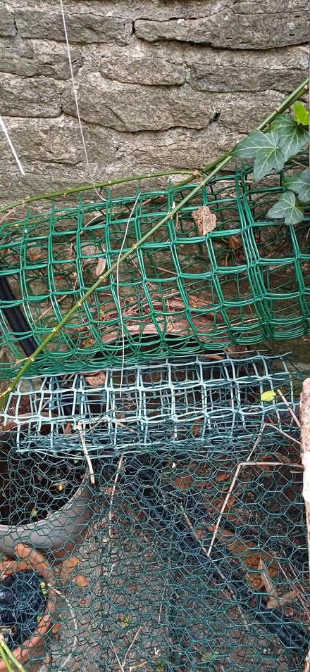 Photo of free Garden canes and wire fencing - various sizes and materials (Kidlington OX5) #3