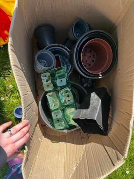 Photo of free Plastic plant pots (BS9) #1