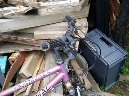 Photo of free Bicycle (Huntingdon PE29) #2