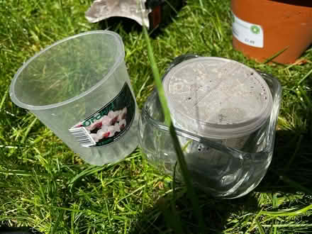 Photo of free Orchid pot set (BS9) #1