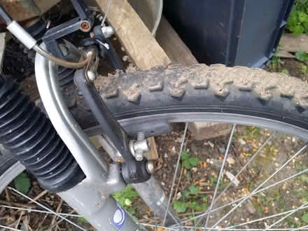 Photo of free Bicycle (Huntingdon PE29) #3